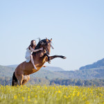 Pferdeshooting vorbereiten – das solltest du beachten 2016-05-05_dancinghorses-019-1