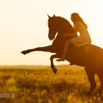 Fotoshooting mit Dancinghorses - Steigen im Sonnenuntergang | BZ Fotografie