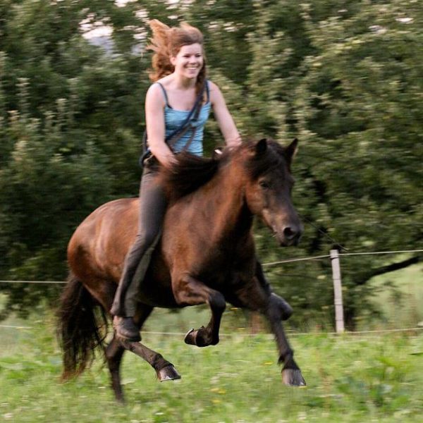 Foto von Birgit auf einem galoppierenden Pferd ohne Sattel und Zaunzeug
