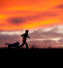 Hundefotografie bei München: Silhouette von Mann mit Hund im Abendrot