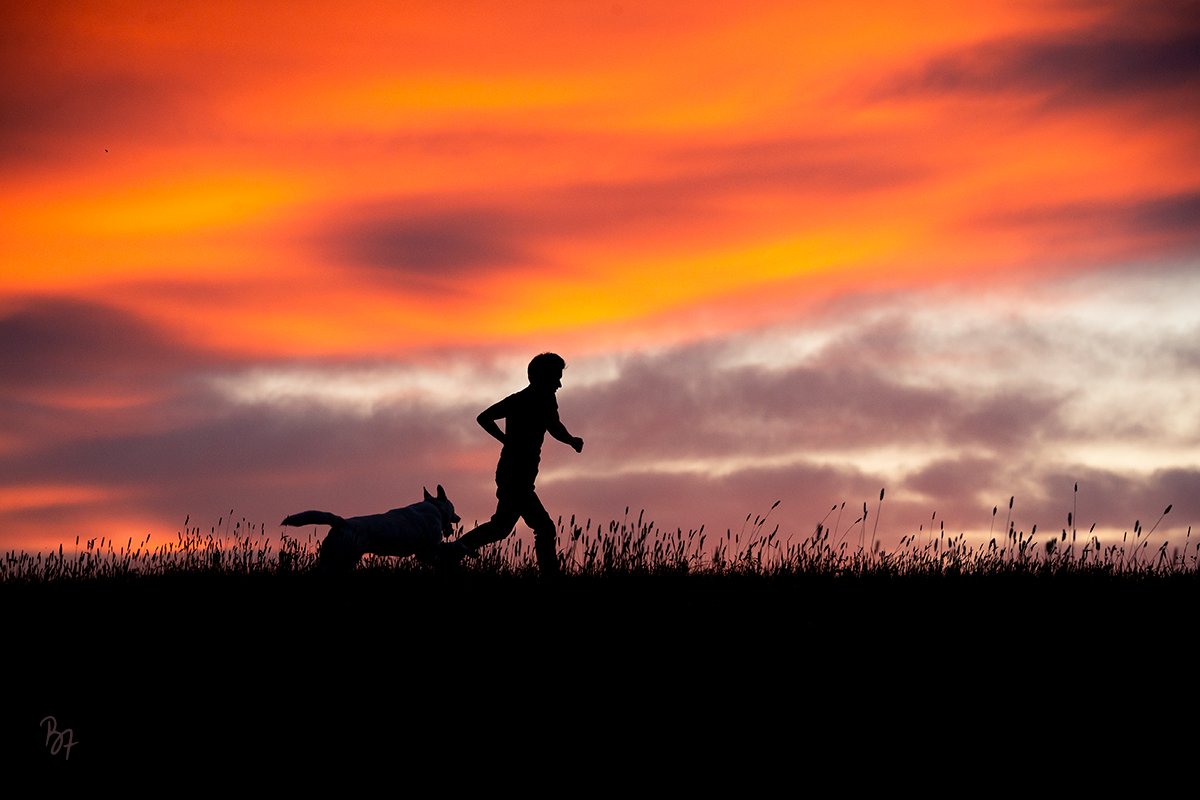 Hundefotografie bei München: Silhouette von Mann mit Hund im Abendrot