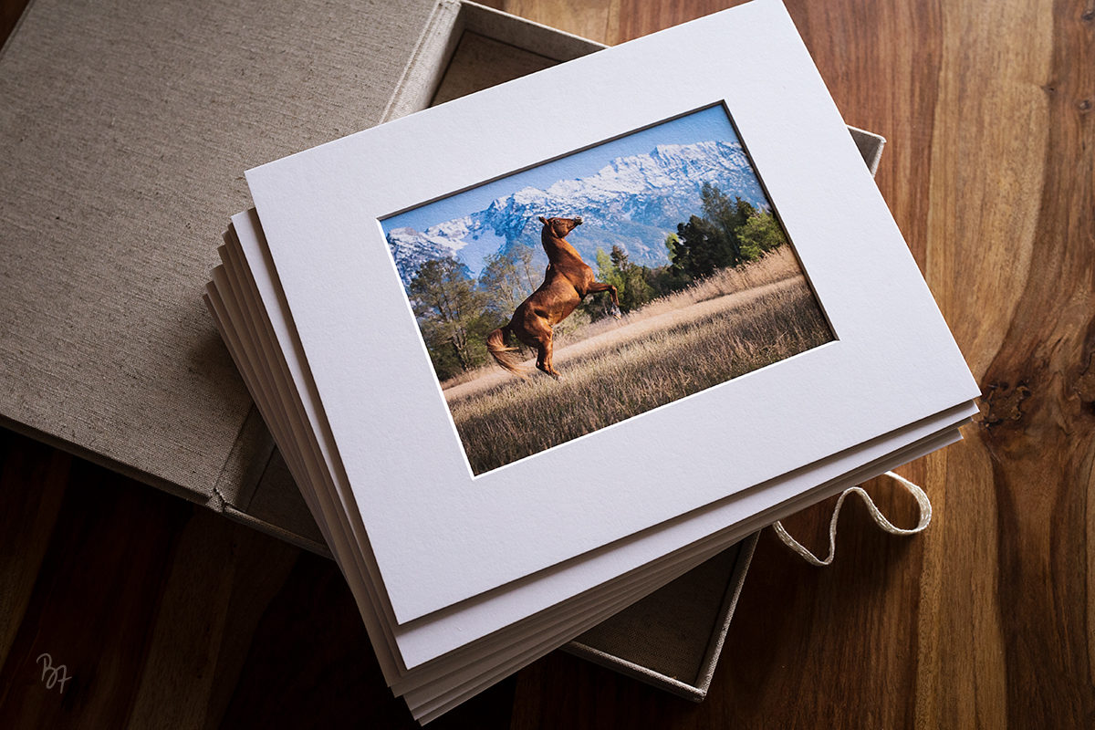 pferdefotograf-fineart-foliobox-berge