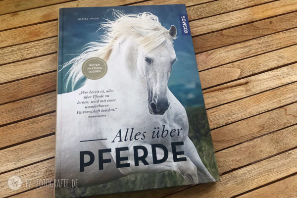 Neues Cover für Bestseller-Pferdebuch