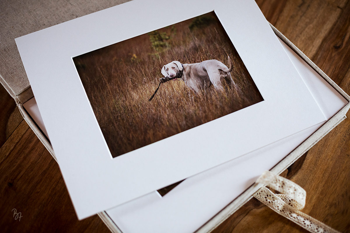 FineArt-Hundefotografien in einer handgebundenen Foliobox