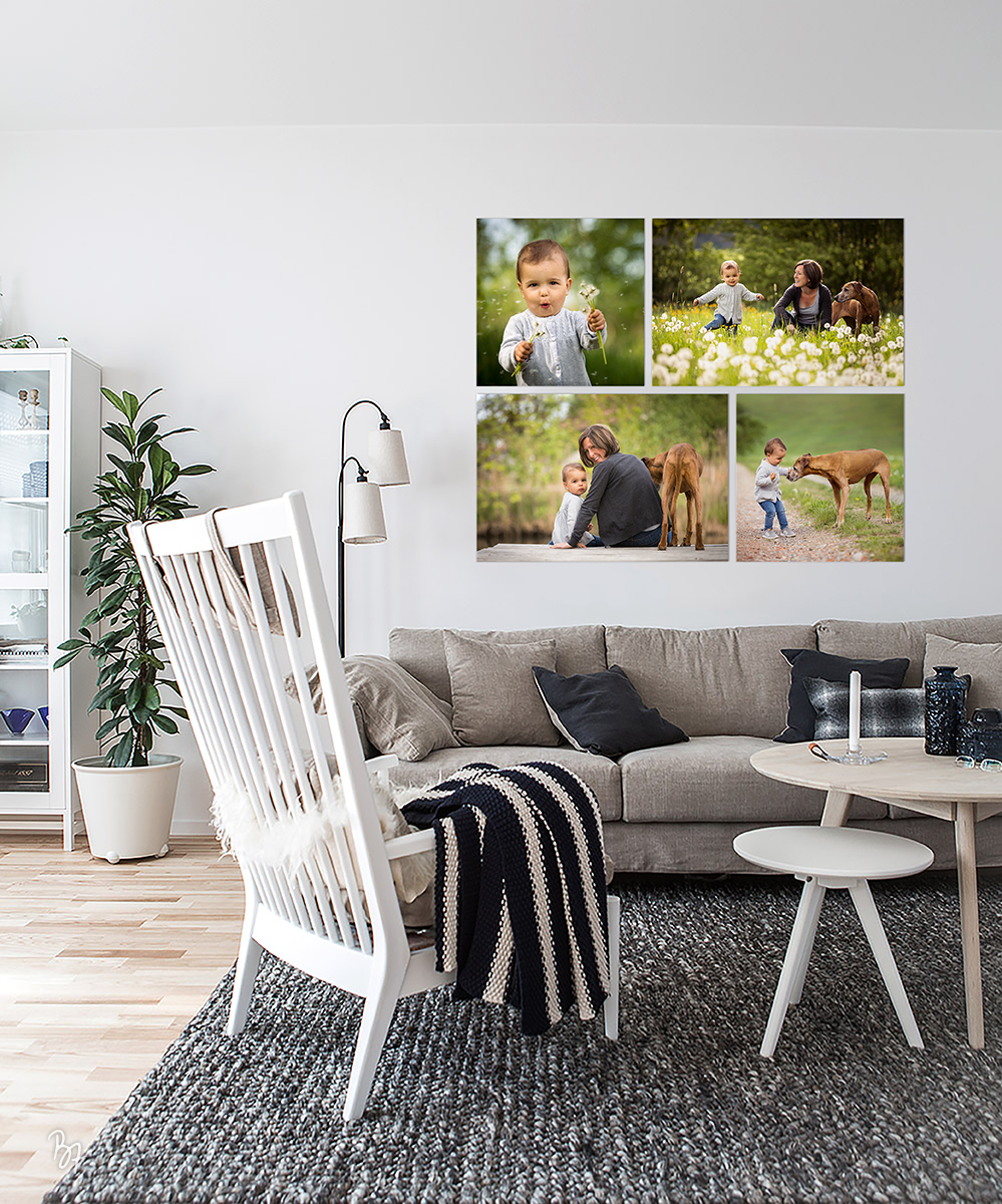 fineart-collage-familiensession-hund FineArt-Collage: Familiensession mit Hund