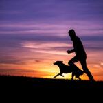hundefotografie-ebersberg-silhouette-running