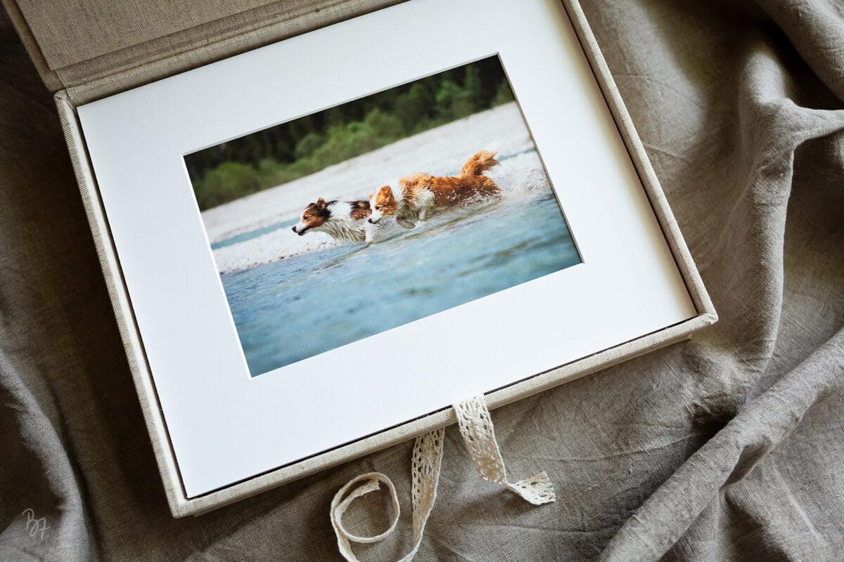 Handgearbeitete Foliobox mit Fotografie von Hunden am Wasser