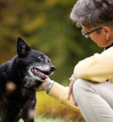Hundefotografie bei Miesbach: Alte Hündin mit Frauchen