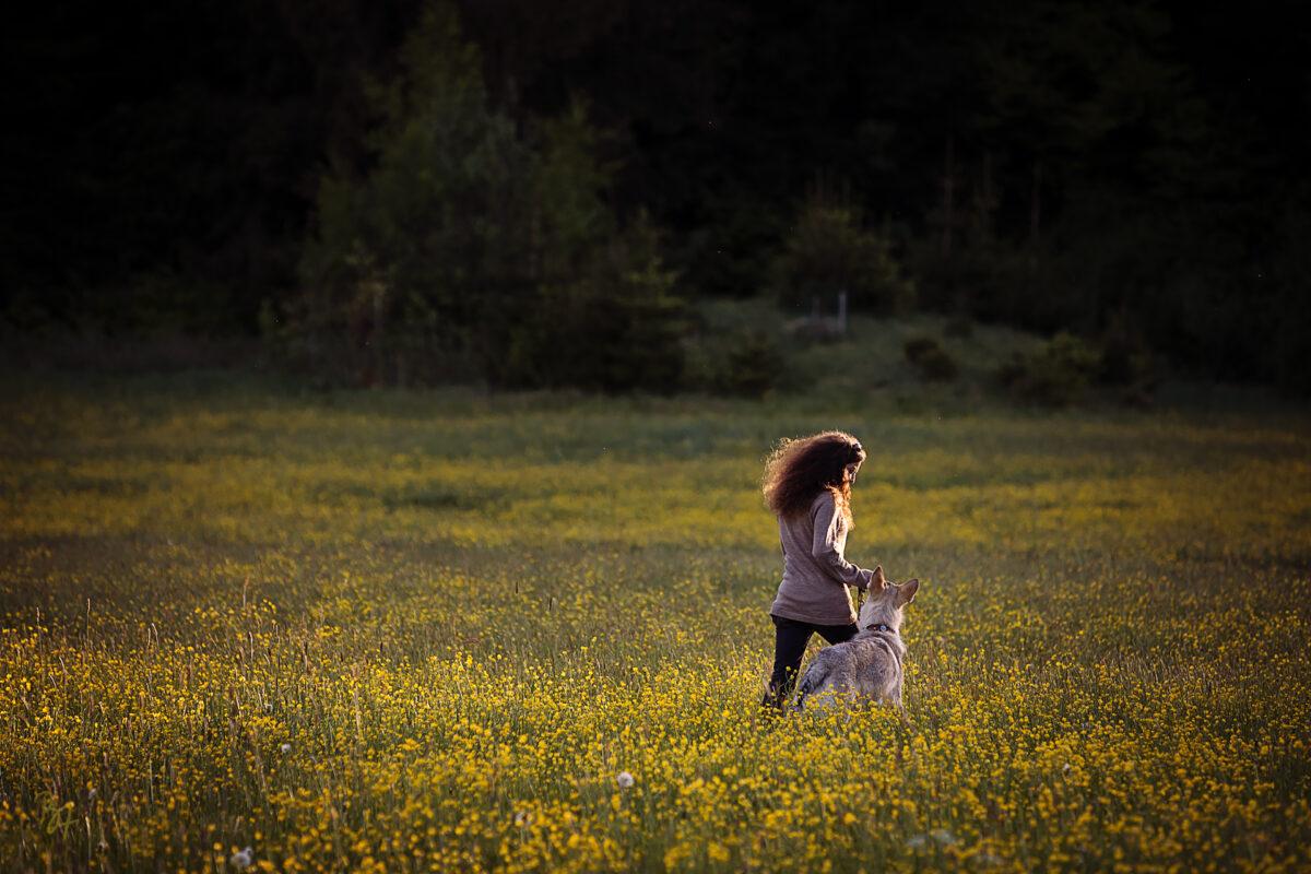 Frau mit Hund auf einer Blumenwiese im Abendlicht
