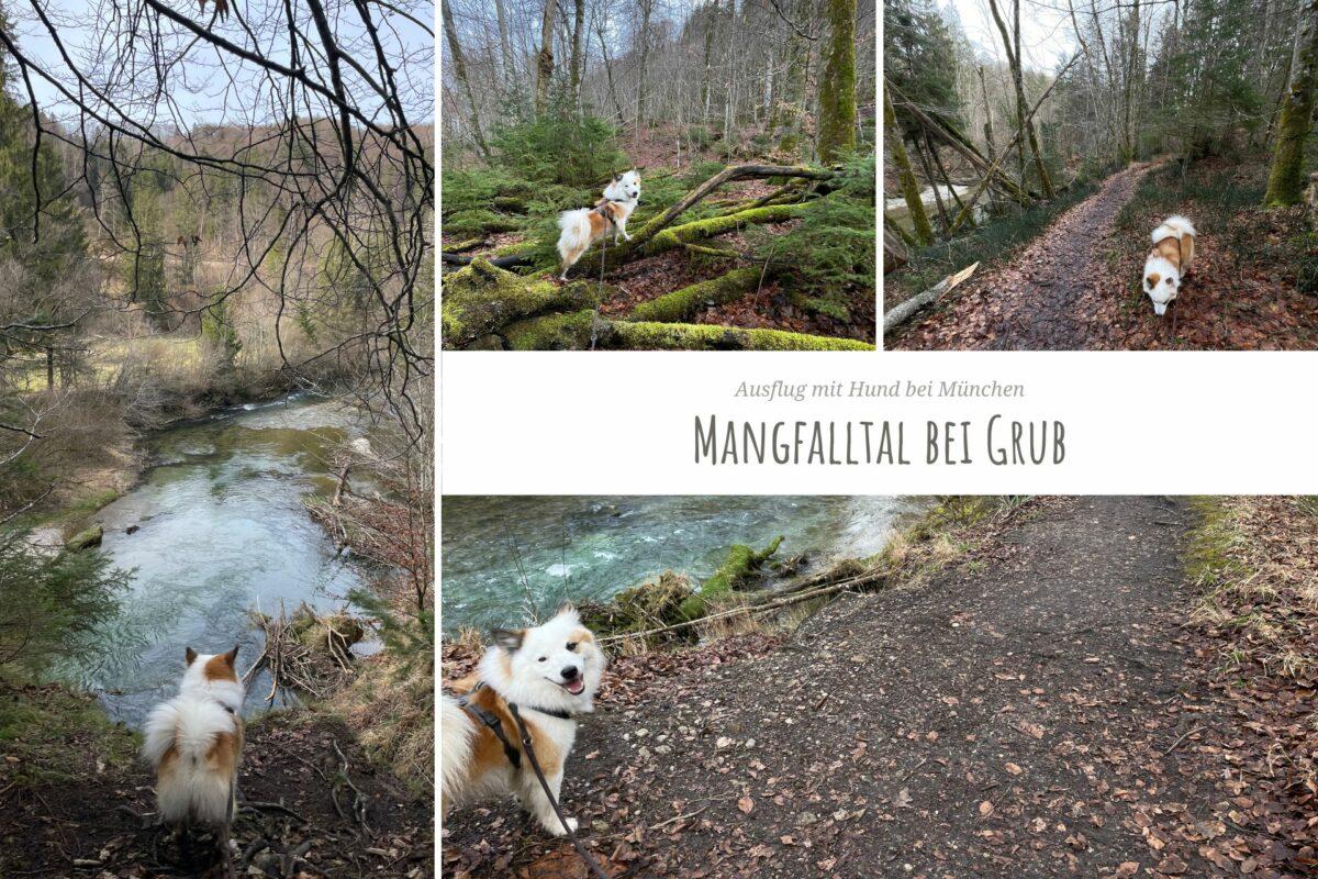 Fotocollage von einem Ausflug mit Hund ins Mangfalltal bei Grub