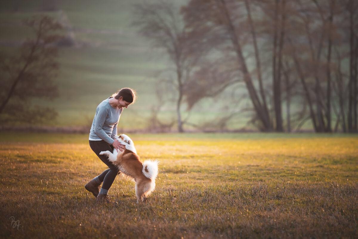 Birgit spielt mit ihrem Hund Bolti auf einer Wiese im Abendlicht