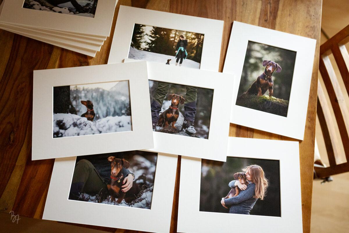 fineart-hundefotografie-foliobox-aline-1