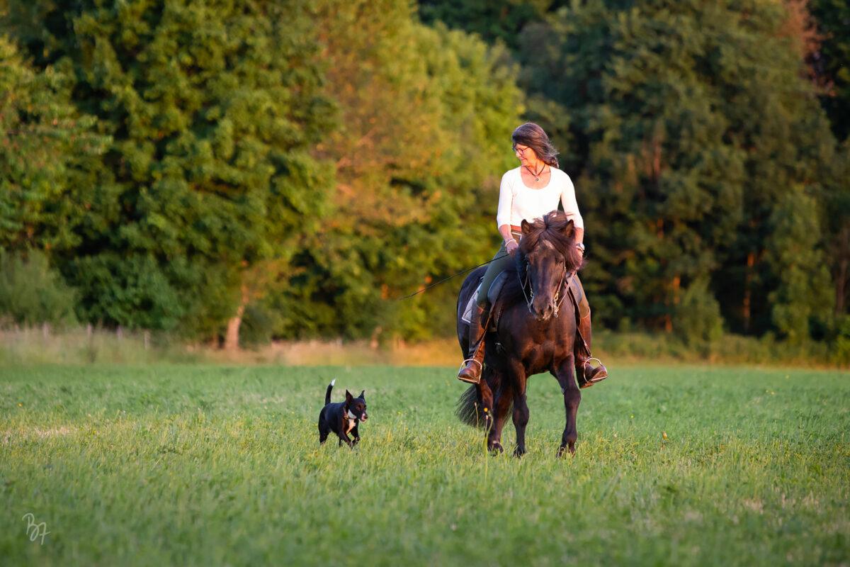 Reiterin mit Pferd und Hund auf einer Wiese bei München