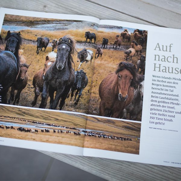 artikel-cavallo-laufskalarett-island